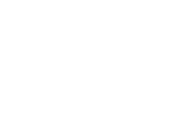 Logo - Fortinet